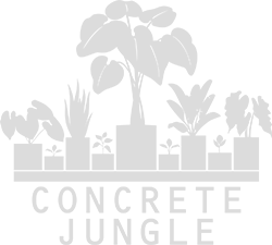 Concrete Jungle